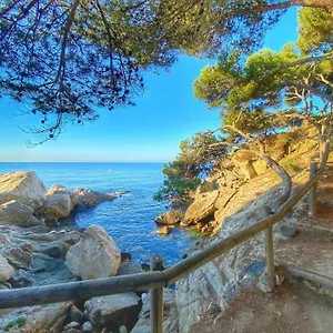 Direct Beachpetfriendly By Rinconesmediterraneos Calonge (Catalonia)